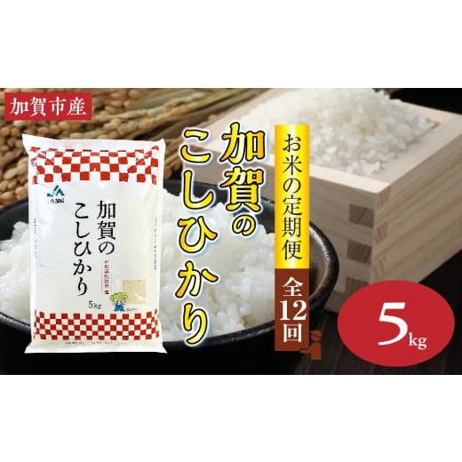 ふるさと納税 石川県 加賀市 石川県加賀市産 こしひかり精米5kg(令和5年産〜)