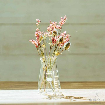 【東昇】HARIO錐形燒杯｜日本出品