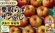 2月発送家庭用 葉取らず サンふじ 約5kg