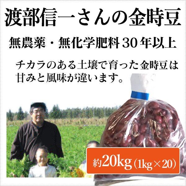 北海道産 無農薬金時豆 渡部信一さんの金時豆約20kg（約1kg×20袋） 無農薬・無化学肥料栽培30年の美味しい金時豆 渡部さんは化学薬品とは無縁