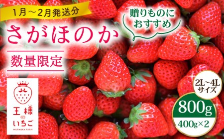 王様のいちご さがほのか 800g（400g×2箱）フルーツ 果物 苺 イチゴ ギフト 贈り物 [HAF010]