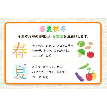 ふるさと納税  季節の野菜詰め合わせセット 8〜10品目 《お申込み月の翌月から出荷開始》ゆめ・ステーション・このは 旬の野菜 .. 熊本県玉東町