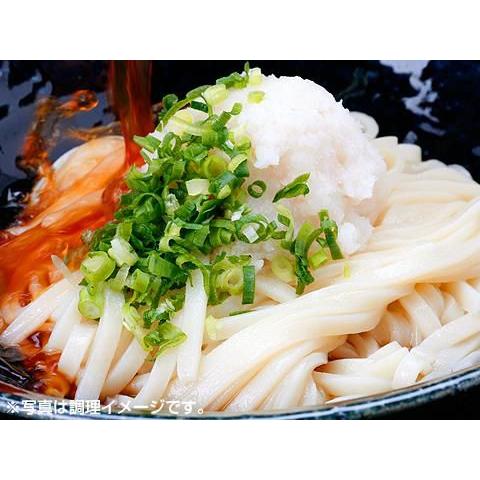 謹製水沢うどん 12人前