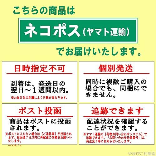 岡山県産・香川県産 もち麦（ダイシモチ） 残留農薬不検出麦 １kg 国産