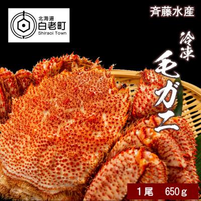 ふるさと納税 白老町 大サイズ!冷凍毛がに約650g×1尾 AM006