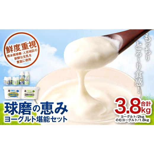 ふるさと納税 熊本県 球磨酪農おすすめ！球磨の恵みヨーグルト堪能セット 合計3.8kg（ヨーグルト 計2kg のむヨーグルト 計1.8kg）