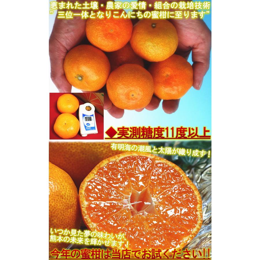 夢未来みかん 極早生ミカン 約5kg 2S〜Lサイズ 熊本県産 JA共撰品 グリーン蜜柑の本場で育てた爽やかな甘さと風味！