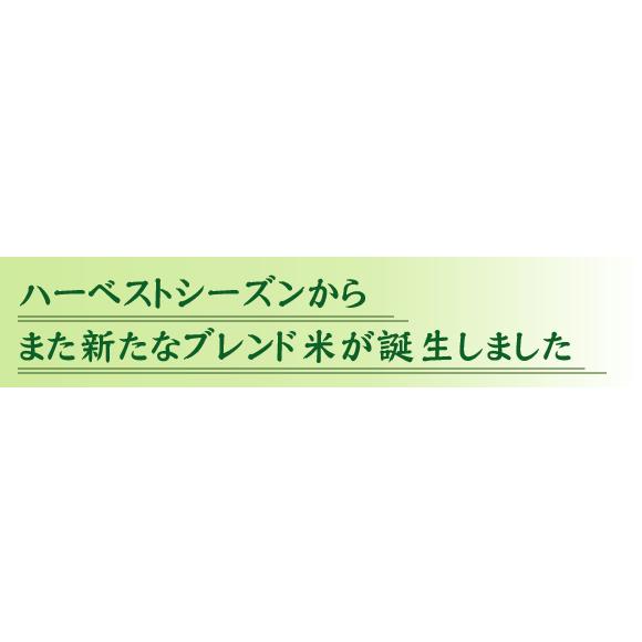 令和4年産配合 無洗米 5kg 穂風 ほのか 国内産100％使用 お米マイスターブレンド 送料無料 (SL)