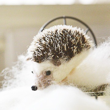 可愛小刺蝟 羊毛氈材料包聖誕禮物(附影片教學)