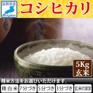 令和5年産 滋賀県産コシヒカリ5kg玄米S