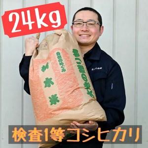 ふるさと納税 栃木県産 コシヒカリ 玄米24kg 栃木県さくら市