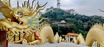 南投金龍山★平林溪畔渡假樂活★休閒農場｜台慶太平｜南投縣中寮鄉鄉親寮段