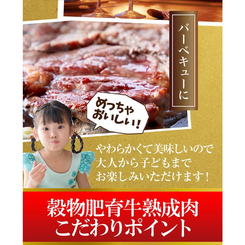 牛肉 肉 焼肉 ステーキ肉 ステーキ 3枚×３ 牛肩ロース 熟成肉1ポンドステーキ 送料無料