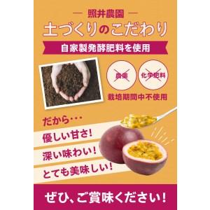 ふるさと納税 農薬・化学肥料不使用　奄美パッションフルーツ家庭用3kg（35個前後） パッションフルーツ 奄美産 家庭用 3.. 鹿児島県奄美市