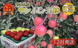 サンふじ・王林約5kg 贈答用（12月発送）青森県産