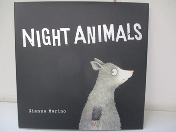 【書寶二手書T2／少年童書_SBX】Night Animals_Marino, Gianna