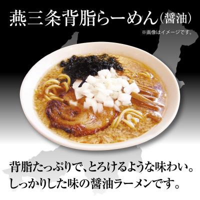 ふるさと納税 十日町市 新潟ラーメン食べ比べセット 2種 各4食 替玉4束(1袋に替玉1束入)