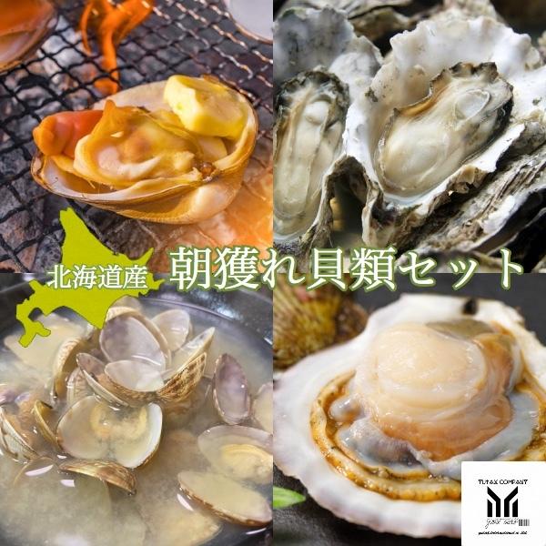 北海道産 特産貝詰め合わせセット ホタテ 青つぶ ほっき貝 牡蠣等