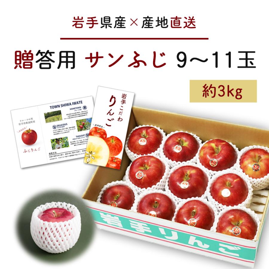 りんご 産地直送 岩手県産 ふじ 3kg 9-11玉入り サンふじ 秀品 贈答 ギフト 農家直送 林檎 リンゴ 果物 無袋栽培 樹上完熟