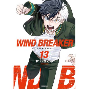 WIND BREAKER—防風少年—(13)