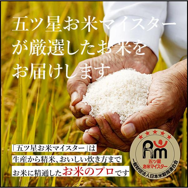 新米 令和５年産 贈り物 お米 5kg 送料無料 コシヒカリ 白米 5kg×1袋 茨城県 産直 五ツ星お米マイスター厳選米 内祝い 御祝い お祝い