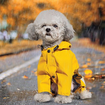 TTP 酷爆雨衣 (雨中跑系列)