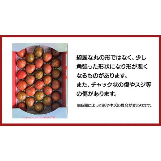 ふるさと納税 茨城県 筑西市  スーパーフルーツトマト 大箱 約2.6kg × 1箱  糖度9度 以上  野菜 フルーツトマト…