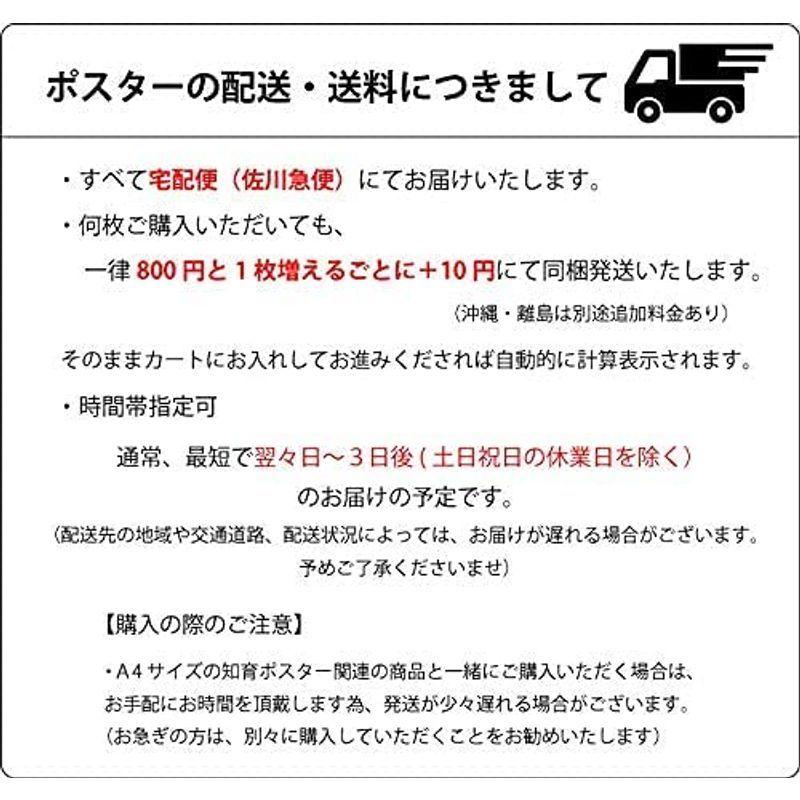 自由に書き込める白い 日本地図 ポスター A2サイズ セット ソノリテ