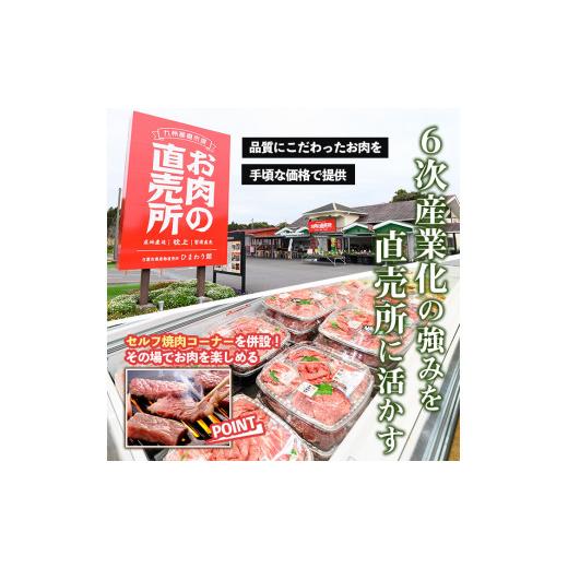 ふるさと納税 鹿児島県 日置市 No.510-2405 ＜2024年5月中に発送予定＞鹿児島県産黒毛和牛ロースステーキ(計540g・180g×3P)