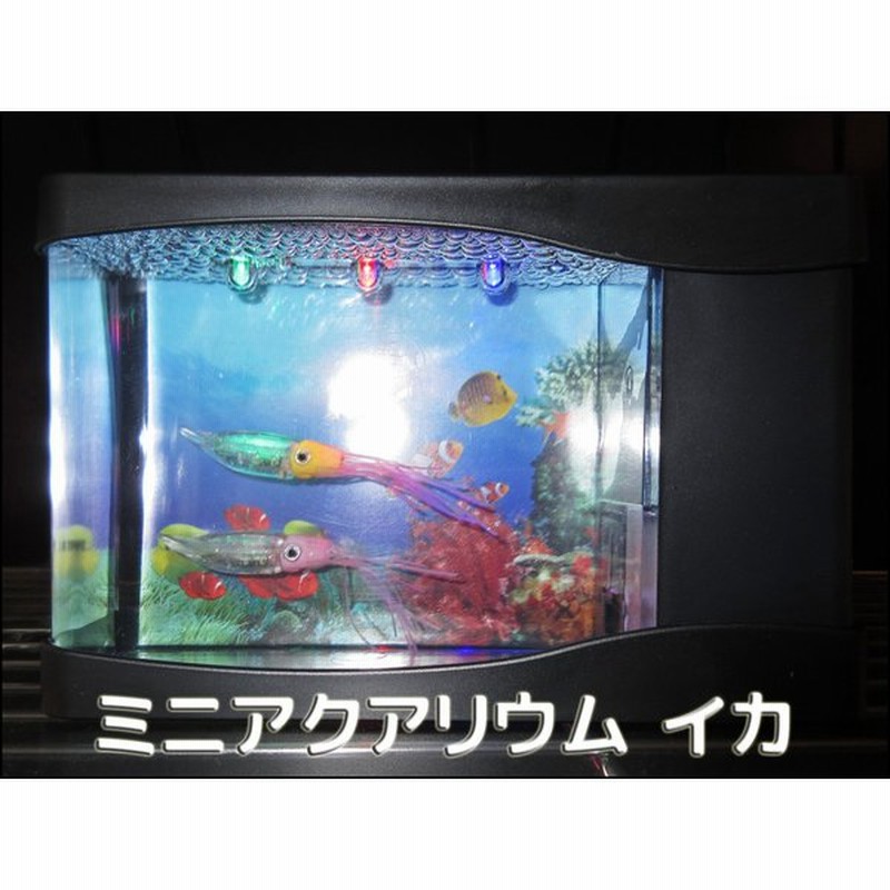 ミニアクアリウム イカ かわいい 置物 おしゃれ 雑貨 インテリア 癒し 水族館 水槽 通販 Lineポイント最大0 5 Get Lineショッピング