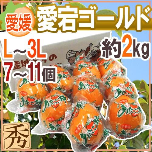 愛媛県 ”愛宕ゴールド” 秀品 L〜3L 7〜11玉 約2kg 愛宕柿 送料無料