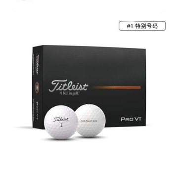 2025新款高爾夫球PRO V1兩層練習球雙層初中選手適用停球穩定
