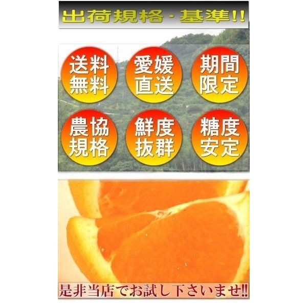 産地直送 はれひめ 約5kg L〜3Lサイズ 愛媛県産 訳あり品 オレンジの香りに蜜柑の味わい！愛媛直送の新鮮なタンゴール