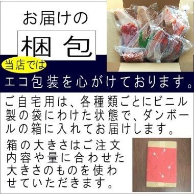 本造り鮭中塩（1０切) 鮭 寒風干し 北海道産秋鮭を新潟で寒風干し伝統製法の 鮭 切り身 鮭 冷凍 秋鮭 塩引き鮭 高級 鮭