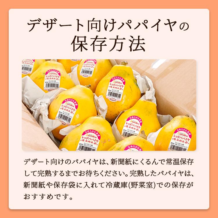 レッドパパイヤ 6玉 約3kg フィリピン産 スミフル パパイヤ ギフト