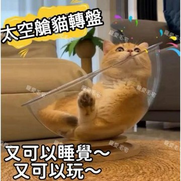 【寵愛毛宅】貓轉盤_小號 貓窩 貓床 透明貓碗 太空艙貓窩 貓咪玩具 可旋轉貓床 實木底座 貓咪睡覺玩具
