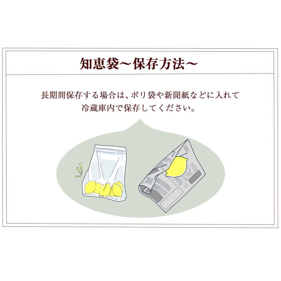 レモン 国産レモン 1kg 佐賀県産 訳あり 特別栽培農産物 防腐剤防かび剤不使用 ゲルソン療法にも最適