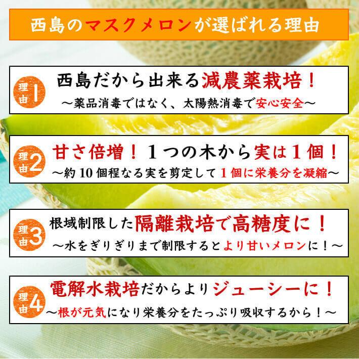 贈答用 高級マスクメロン 大玉(1,5ｋｇ×2) 誕生日 ギフト フルーツ 果物