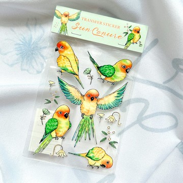 轉印貼紙 / 金太陽鸚鵡圖鑑水晶轉印貼紙
