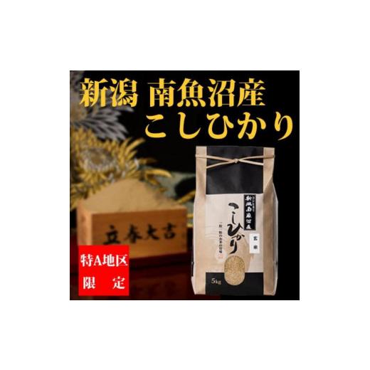 ふるさと納税 新潟県 南魚沼市 南魚沼産コシヒカリ(玄米5kg)