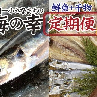 ～旬の朝どれ鮮魚と土佐の干物セット～ カネアリ水産の海の定期便3ヶ月 季節 四季 鮮魚 加工食品 干物 ちりめんじゃこ カツオ サバ 金目鯛 カンパチ 朝どれ 冷凍 冷蔵