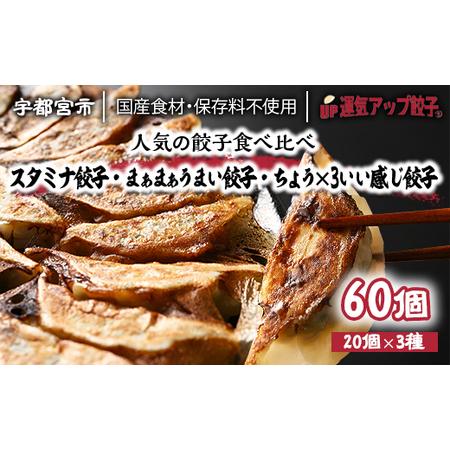 ふるさと納税 宇都宮餃子　豚餃子3種類(合計60個)　保存料不使用 栃木県宇都宮市