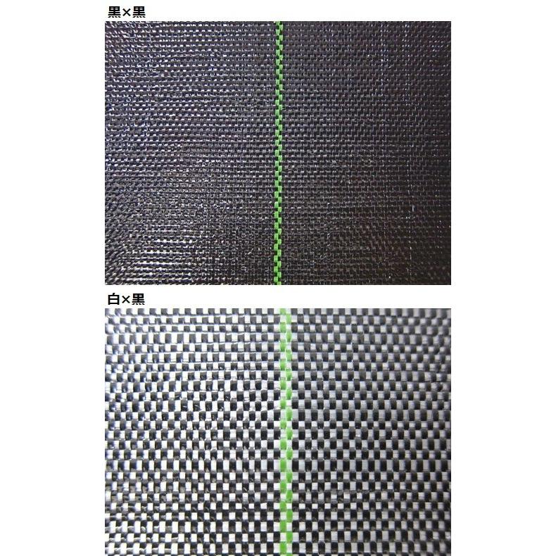 小泉製麻 防草シート ルンルンシート白×黒 50cm×100m 農業資材 除草シート 雑草防止シート 雑草対策