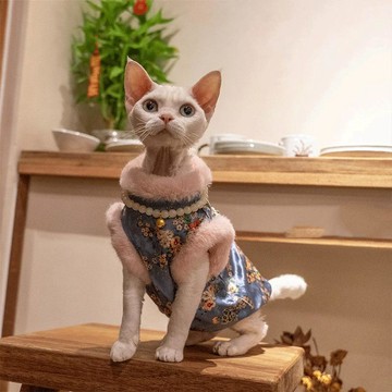 【萌寵服飾】公主風貓衣服金絲絨旗袍防舔抗起球新年加絨氣質洋氣馬甲無毛德文 臺灣出貨
