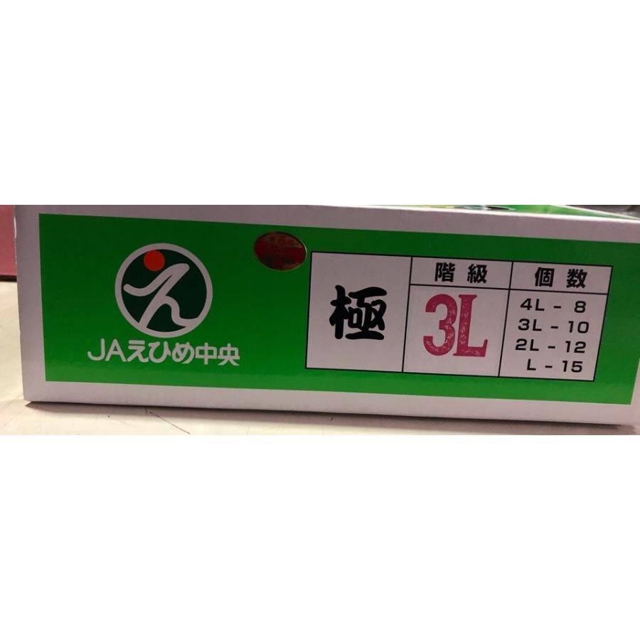 お歳暮　匠と極　紅まどんな 愛媛産 L~４Ｌサイズ