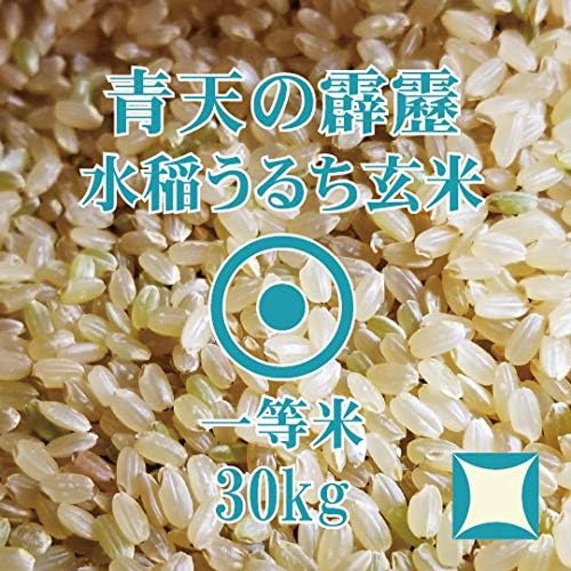 青天の霹靂 玄米 30kg 令和4年産 青森県産