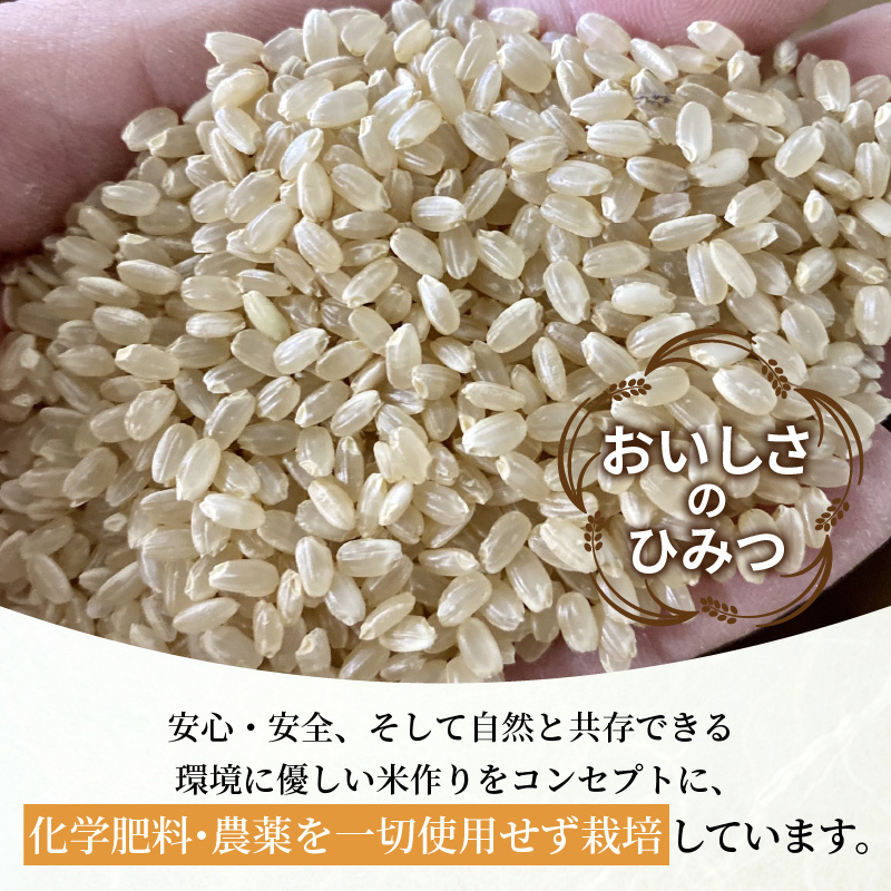 お米玄米5kg《 お米 農薬不使用 玄米 5キロ 安心 安全 米 おこめ 国産 送料無料 ヒノヒカリ 》