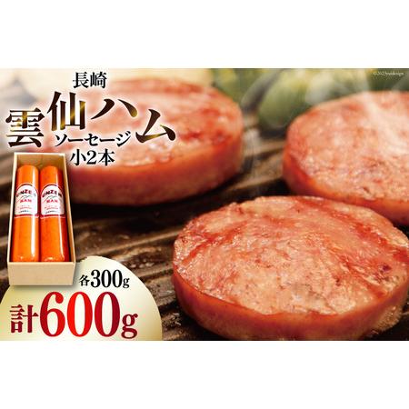 ふるさと納税 雲仙ハム ソーセージ小2本入り（300ｇ×2本）   長崎雲仙ハム　ASTY   長崎県 雲仙市 [item0822] 長崎県雲仙市