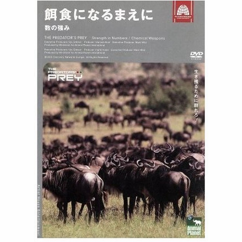 アニマル プラネット 餌食になるまえに 数の勝利 趣味 教養 通販 Lineポイント最大0 5 Get Lineショッピング