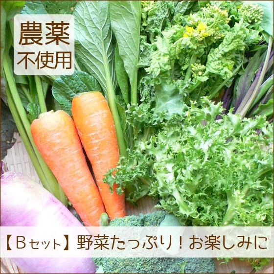 お歳暮 野菜 詰め合わせ 納得セット 農薬不使用 訳あり 不揃い 送料無料